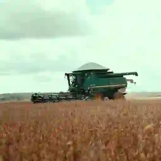 Sub-seasonal forecasts from the ECMWF extended range forecast, up to 4 weeks ahead.